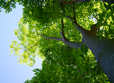 ワークショップ